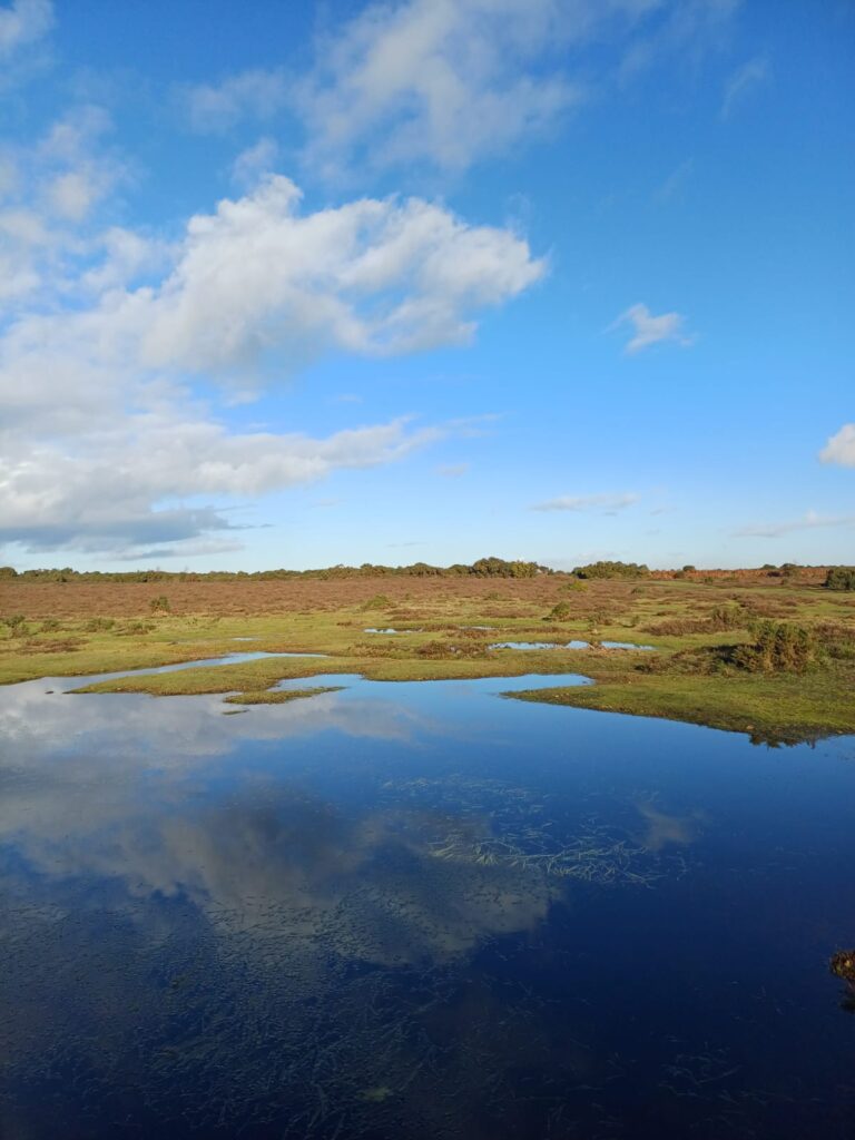 The winter sky reflected in a puddle